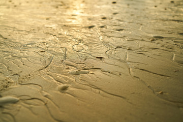Beach Sand Texture
