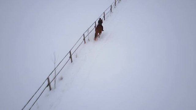 4k footage, aerial view woman riding galloping horse along fence on snow in winter 
