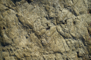 Rock Texture