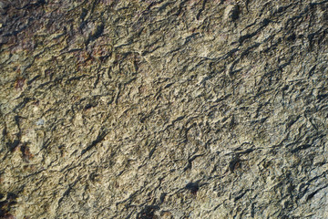 Rock Texture