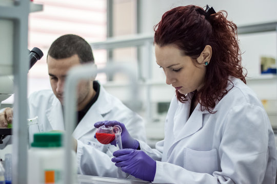 Researcher or scientist or doctoral student pours red and green
