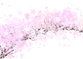 桜　背景