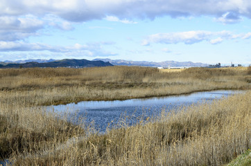 Marjal del Moro, Sagunto, Valencia (España)