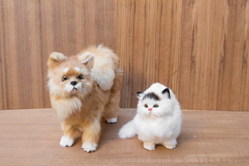 doll white cat and dog beautiful on wooden  floor background