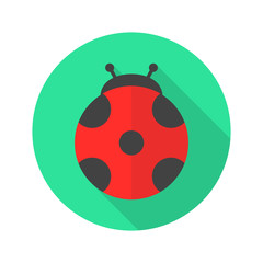 Naklejka premium Ladybug flat design icon