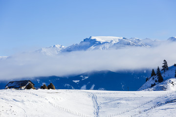 Fototapeta na wymiar Homes in the mountains in winter landscape