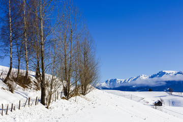 mountain road in winter landscape in Carpathians