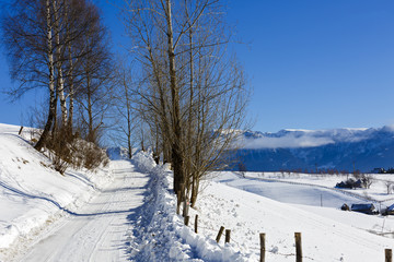 mountain road in winter landscape in Carpathians