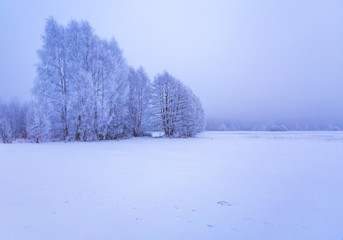 Winter foggy landscape in polish countryside