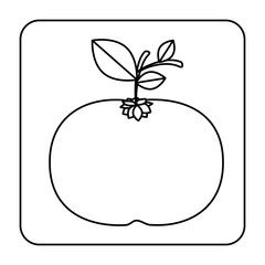 Fresh orange vegetable icon vector illustration graphic design