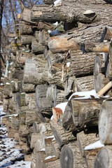  Сухие зимние бревна.