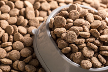 Dried dog food background