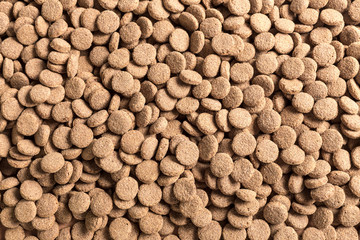 Dried dog food background
