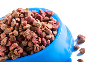 dry dog food isolated on white background