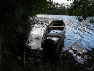 OLYMPUS DIGITAL CAMERA © martagro