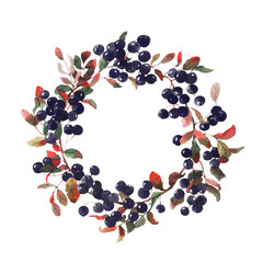 Watercolor wreath of branches with black berries isolated on white.
