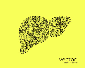 Vector illustration of human liver with cirrhosis.