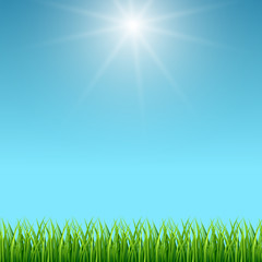 Fototapeta na wymiar Clean blue sky and green grass vector background