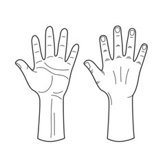 Vector hands illustration in black and white