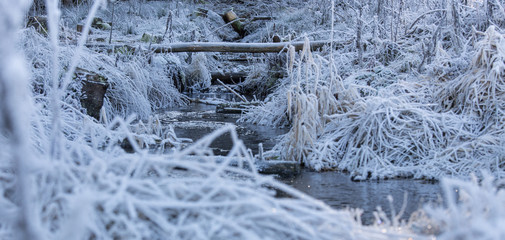 winter frost river