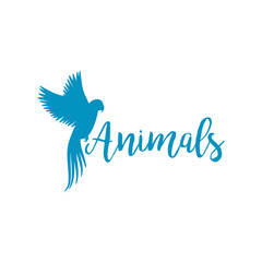 Animals logo template with flying bird silhouette, isolated vector illustration