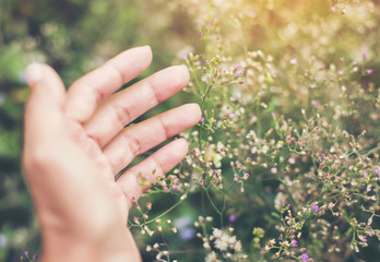 Beautiful flower on woman hand against background leaves