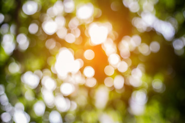 Abstract nature background