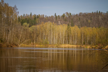 Fototapeta na wymiar A beautiful norther Europe landscape with a river in spring
