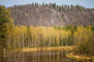 A beautiful norther Europe landscape with a river in spring