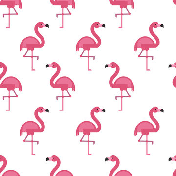 Vector seamless pattern with flamingo.