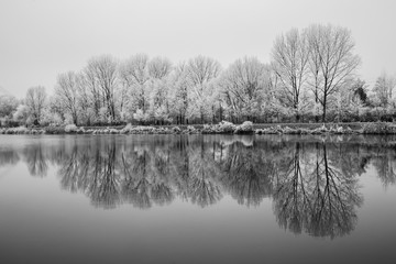 Fototapeta na wymiar Frozen Nature By River Elbe-Celakovice, Czech Rep.