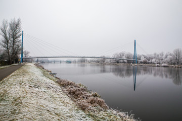 Frozen Nature By River Elbe-Celakovice, Czech Rep.