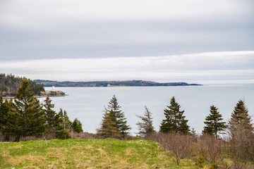 Obraz premium Lighthouse near forest
