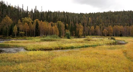 Autumn in Oulanka National Park