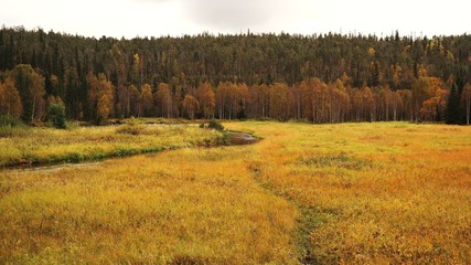 Autumn in Finland