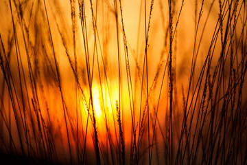 Fototapeta premium The Hideout