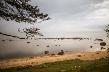 A beautiful norther Europe landscape in late spring
