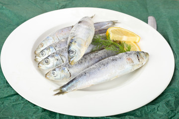 Sardinen