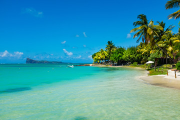 Obraz premium tropical beach with coconut palms on the background of the islan