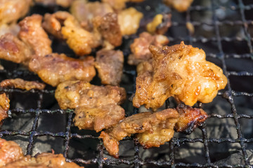 Meat on outdoor coal barbecue grill, selective focusing close-up