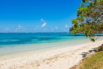 tropical beach with coconut palms on the background of the islan