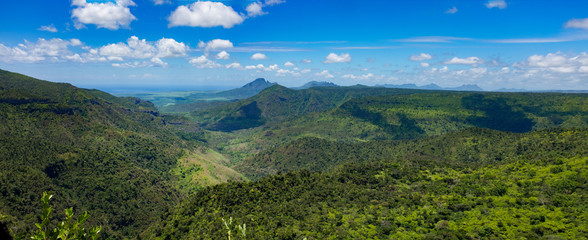 Jungle paradise on Mauritius panoramic