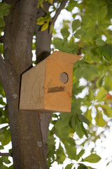bird-house on a tree