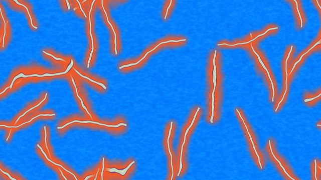 Ebola virus texture red with blue backround.