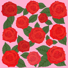 Rose Background, valentine`s Card design