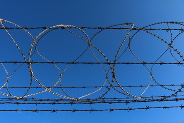 Barbed wire close up