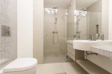 Modern, bright bathroom with glazed showe