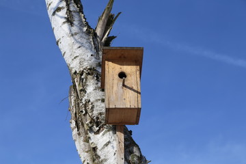Bird box