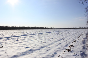 Fototapeta na wymiar Заснеженное поле на фоне голубого неба .