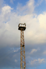 Naklejka premium tower crane